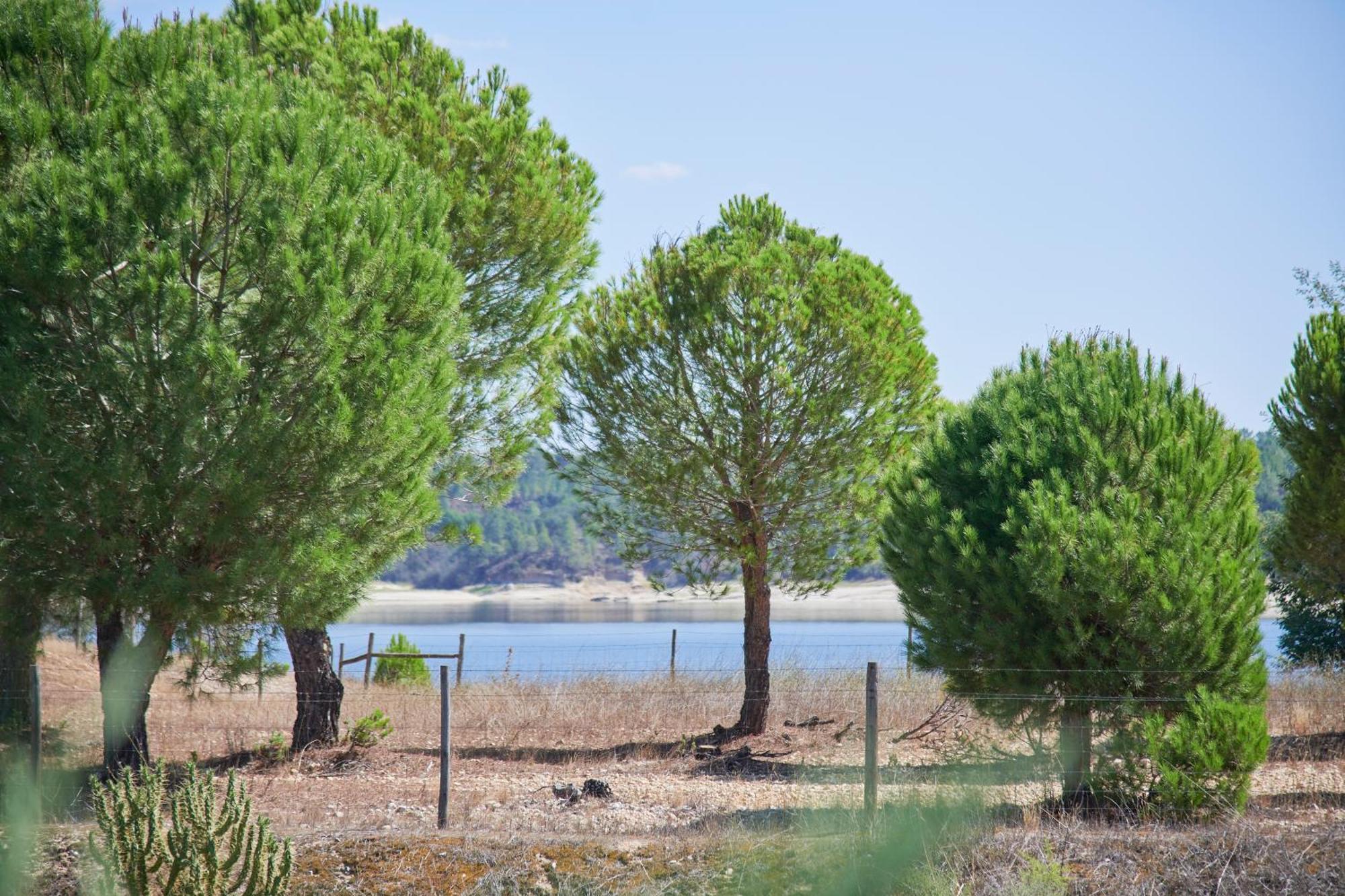 Lakeside Cabin Oasis W/ Ac, By Timecooler Montargil Dış mekan fotoğraf